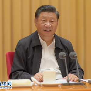 習(xí)近平：全面貫徹新時(shí)代黨的治藏方略 建設(shè)團(tuán)結(jié)富裕文明和諧美麗的社會(huì)主義現(xiàn)代化新西藏