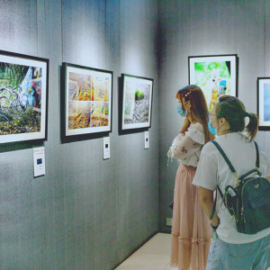 人與環(huán)境攝影大賽為生態(tài)發(fā)展助力