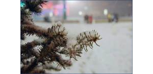 大寒 （二十四節(jié)氣之一）