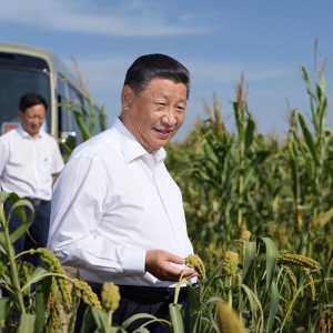習(xí)近平在陜西榆林考察調(diào)研