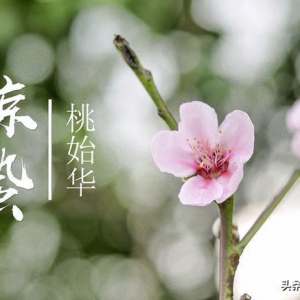 驚蟄前后釣魚(yú)，掌握這3個(gè)規(guī)律，下竿就能中魚(yú)