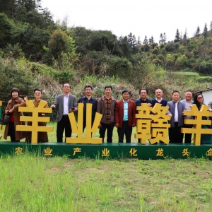 江西萍鄉(xiāng)市辭賦學(xué)會——杉木采風(fēng)作品輯