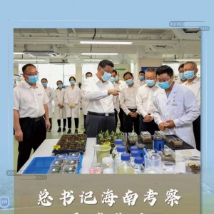 第一觀察｜總書記海南考察再談種子“這件大事”