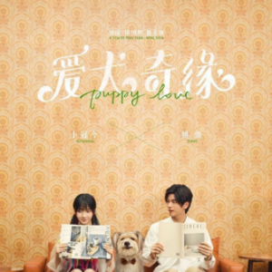 電影《愛犬奇緣》定檔5月20日 馮紹峰娜扎辣目洋子演繹夏日愛情喜劇