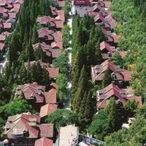漫步上海永不拓寬的馬路，了解海派文化