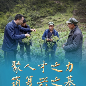 聚人才之力　筑復(fù)興之基——新時代人才事業(yè)發(fā)展成就綜述