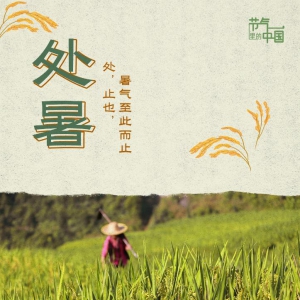 節(jié)氣里的中國(guó)丨處暑：最好新秋時(shí)
