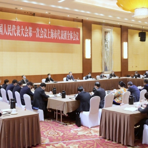 陳吉寧參加上海代表團(tuán)審議：奮力譜寫(xiě)中國(guó)式現(xiàn)代化的上海新篇章