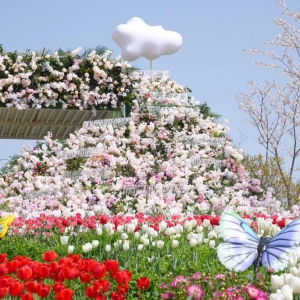 上海金山推動(dòng)“旅游+”融合發(fā)展：全域旅游多點(diǎn)開花