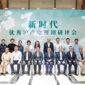 電視劇提質(zhì)減量時代，“上海牌”電視劇緣何佳作頻頻？