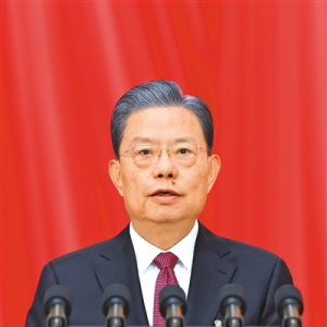 十四屆全國人大二次會議舉行第二次全體會議