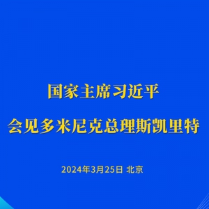 習近平會見多米尼克總理斯凱里特